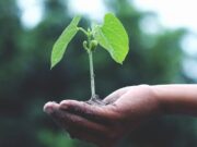 Nachhaltigkeitsmanager: Hohe Abwanderungstendenz fordert Unternehmen heraus